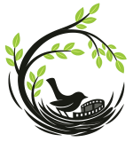 Memory Nest Digital logo with bird nest and film strip representing photo and video digitizing services